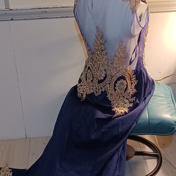 Evening Gown/Prom Dress - Picture 8 of 8